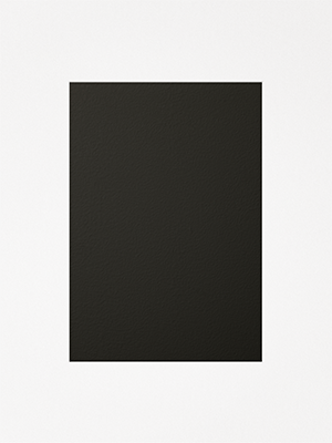Coal
