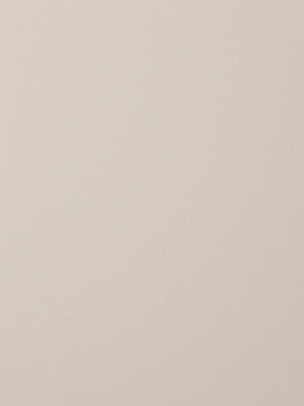 Color - Birch – Piet Boon Paint & Plaster
